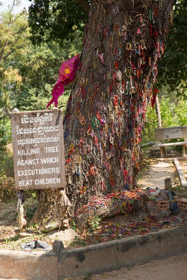 Killing Tree Killing Fields