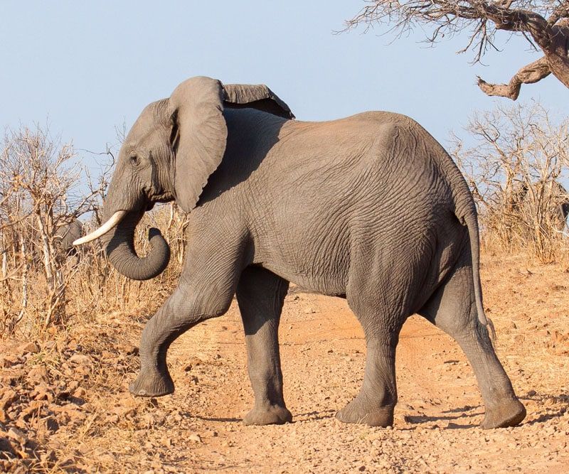 Botswana